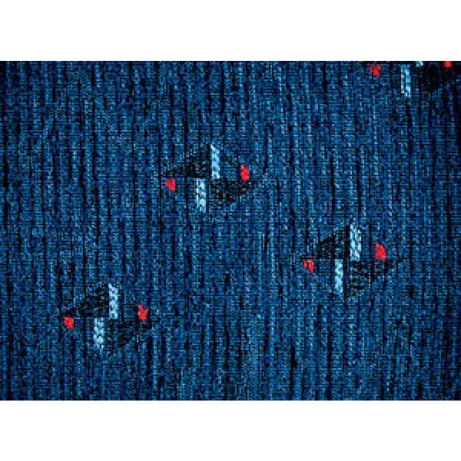 Funda de asiento X-Type-Star - Imagen 3