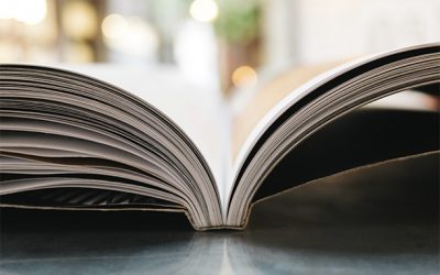 Blog 3 Ámplio catálogo de productos